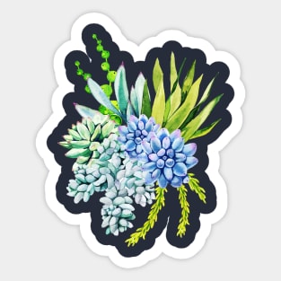 Watercolor succulent bouquet Sticker